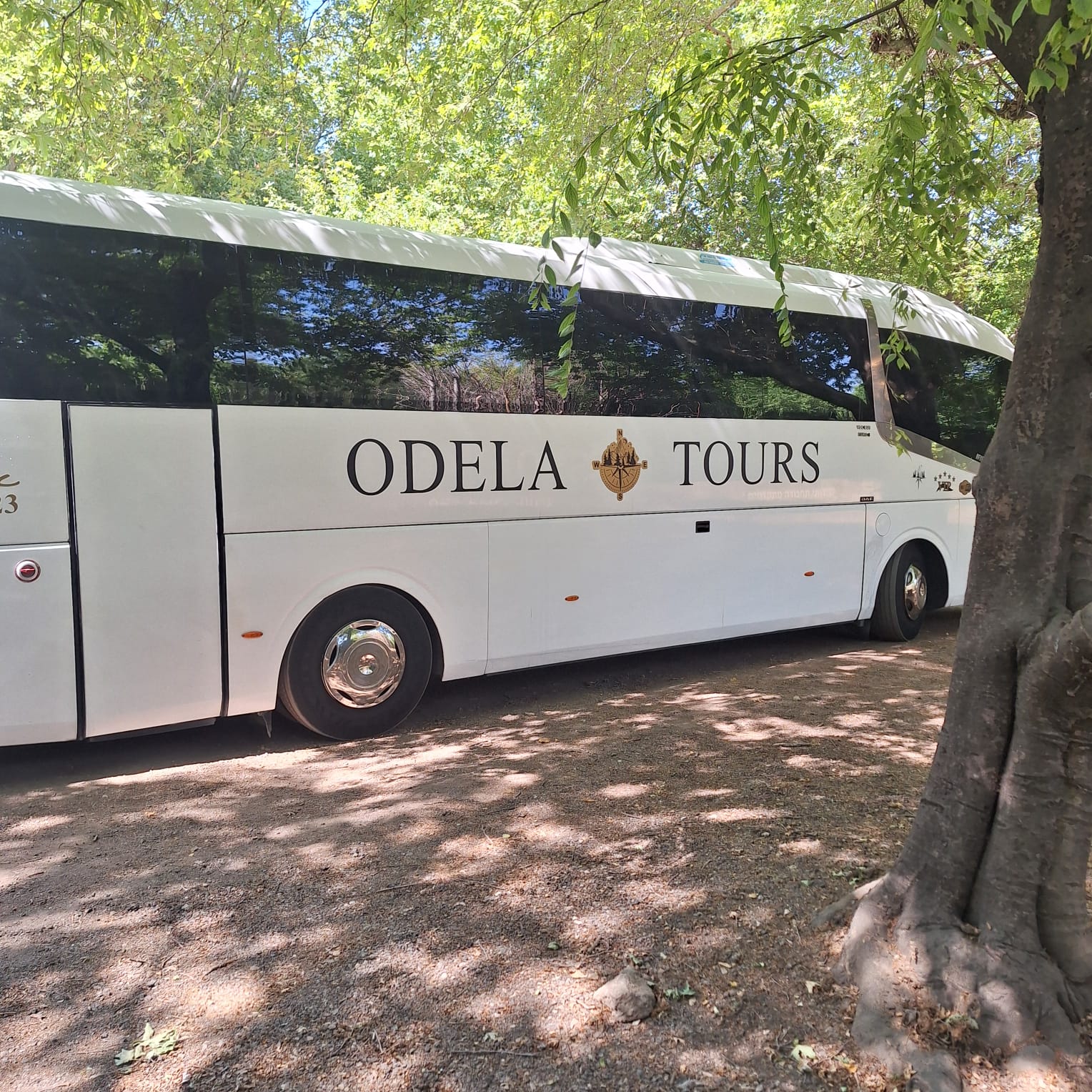 נוסעים עולים לאוטובוס בנקודת איסוף