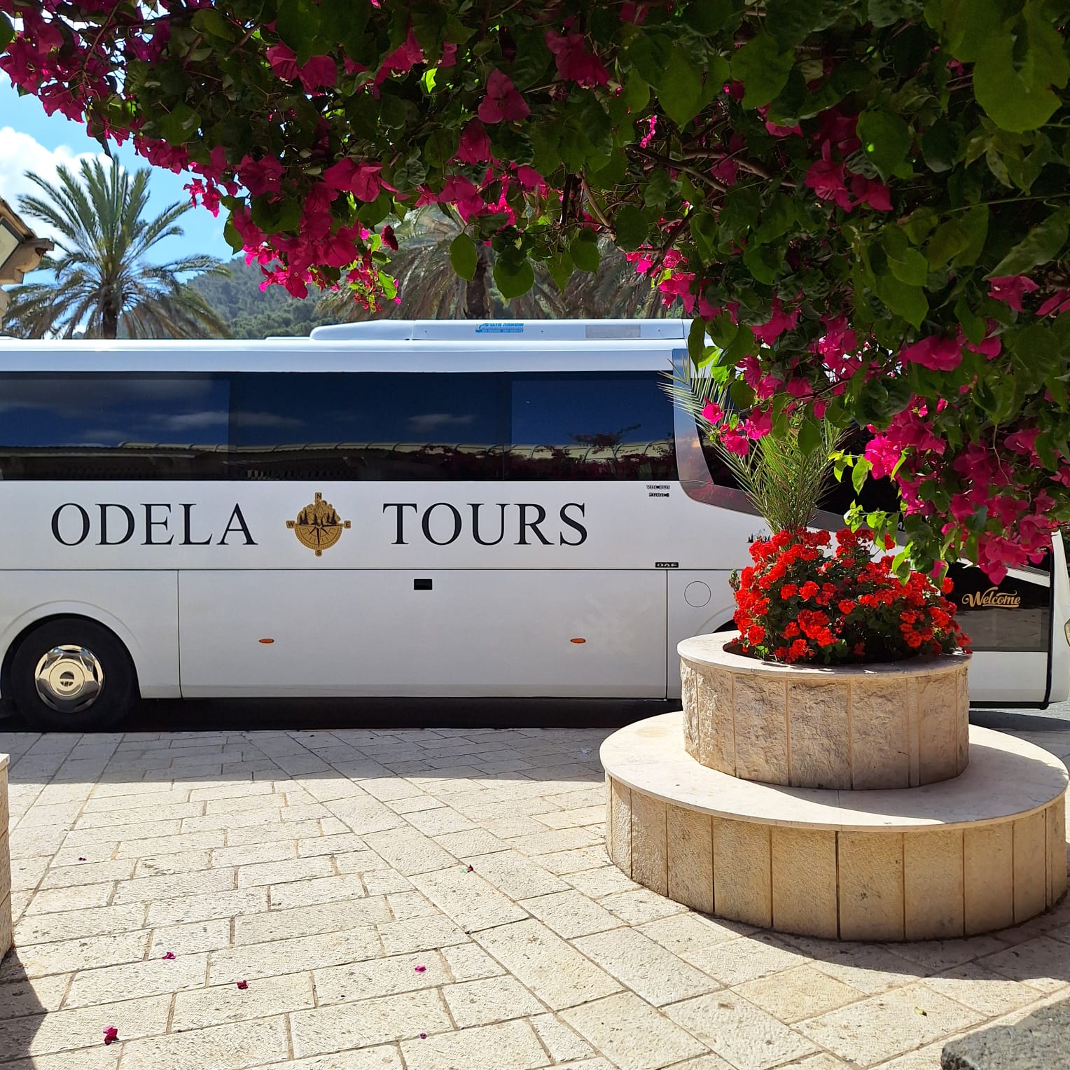 אוטובוס של Odela Tours נוסע בכביש